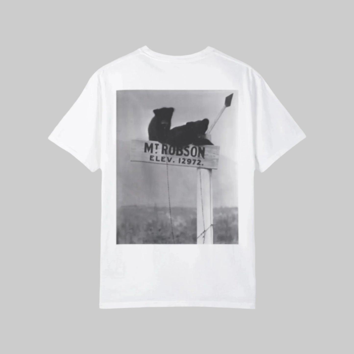 Bear on mount Robson sign T-shirt