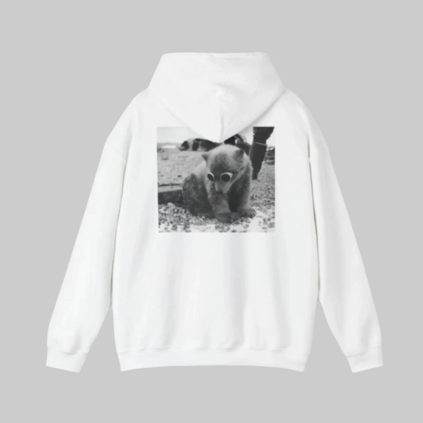 Bear with sunglasses/ hoodie