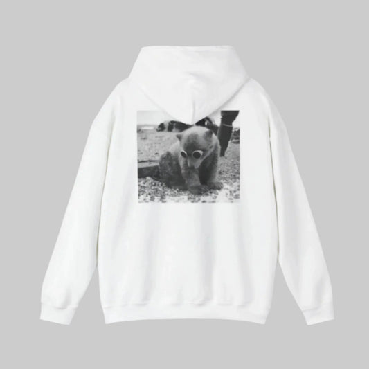 Bear with sunglasses/ hoodie