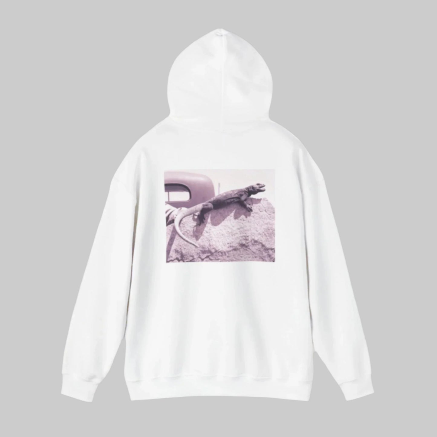 Hoodie with chuckwalla on back