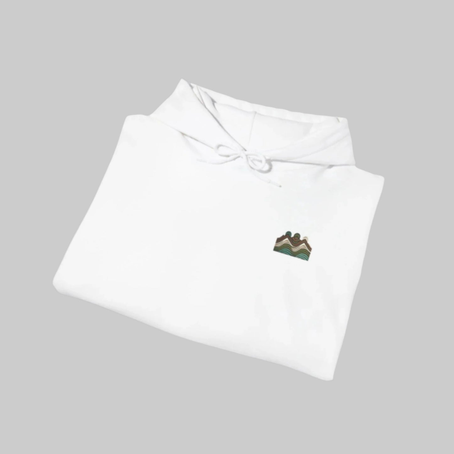 Bear with sunglasses/ hoodie